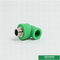 Мужчина аксессуаров трубы Ppr зеленого цвета продел нитку срок службы локтя 90 градусов длинный