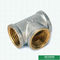 Женские продетые нитку штуцеры Pex латунной арматуры обжатия штуцеров винта тройника для трубы Pex алюминиевой Pex