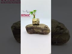 Соединительная муфта для труб PEX, латунные фитинги для труб из нержавеющей стали