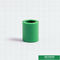 соединение Ppr штуцера трубы 20mm зеленое пластиковое равное для дома с ODM OEM